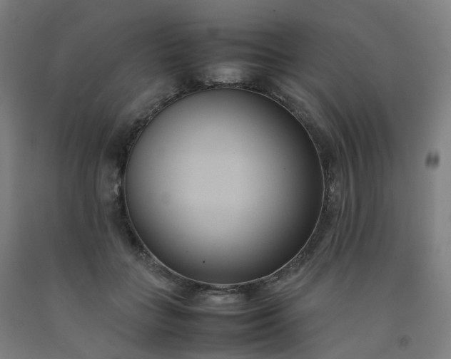 X0000092250555200709281146