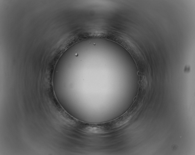 X0000092250557200709281146