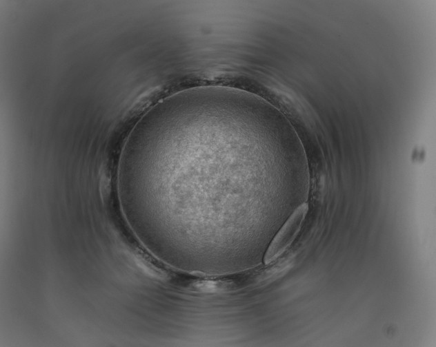 X0000092250558200709281146