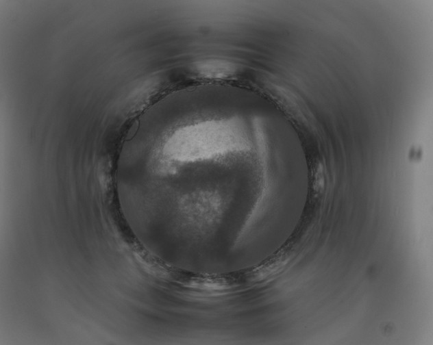 X0000092250559200709281146