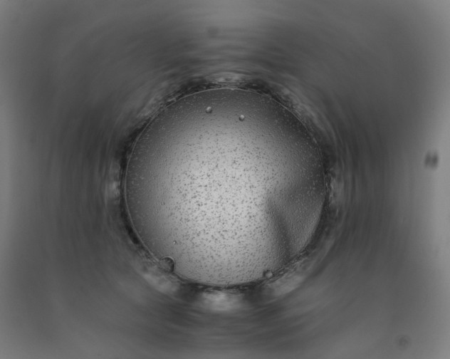 X0000092250561200709281146