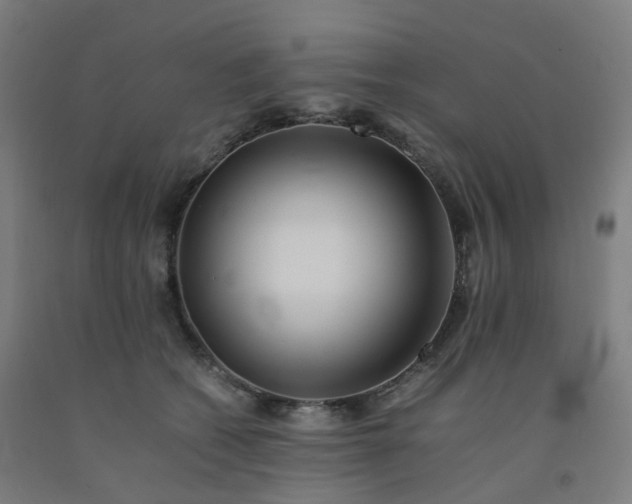 X0000092250562200709281146