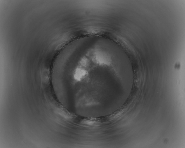 X0000092250563200709281146