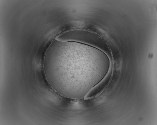 X0000092250564200709281146