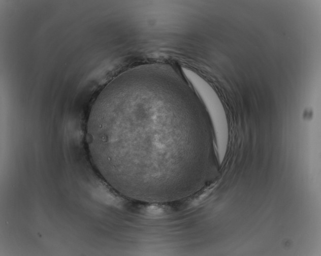 X0000092250566200709281146