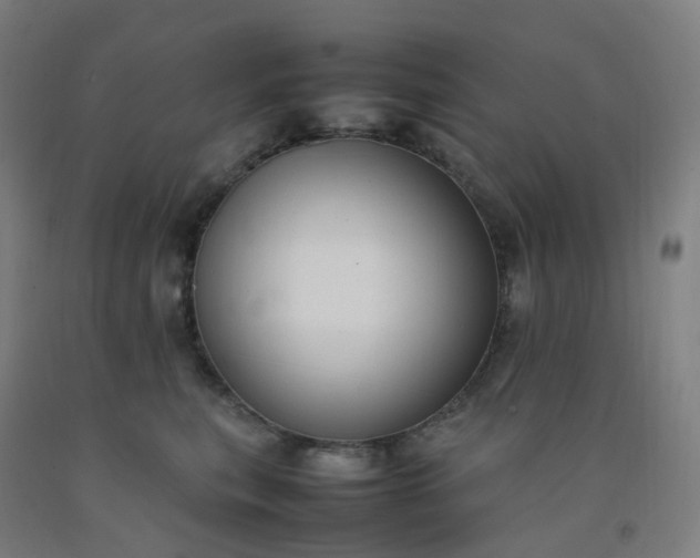 X0000092250567200709281146