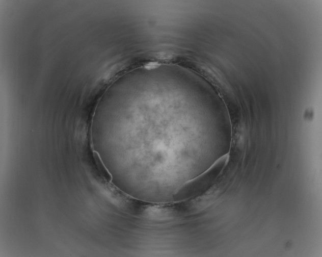 X0000092250568200709281146