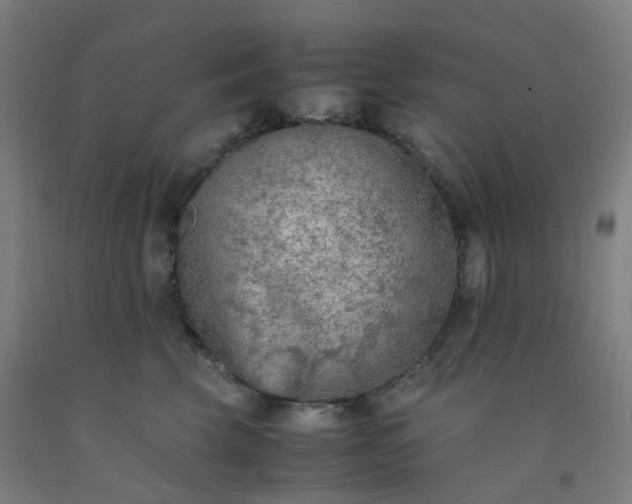 X0000092250569200709281146