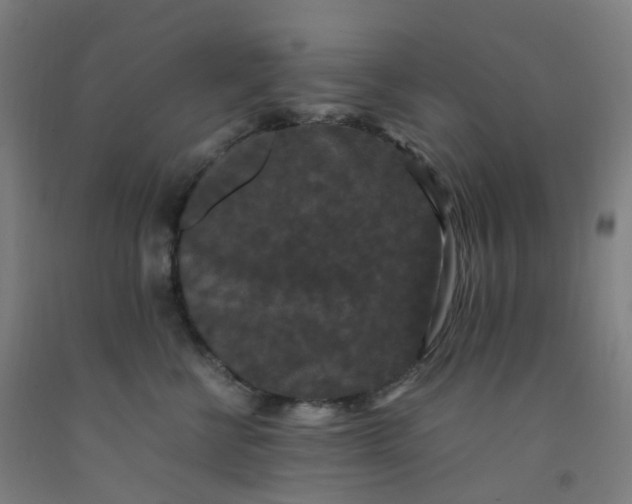 X0000092250570200709281146