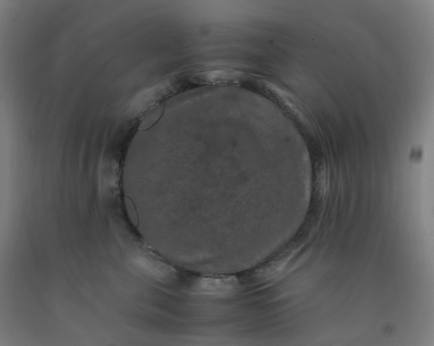 X0000092250571200709281146