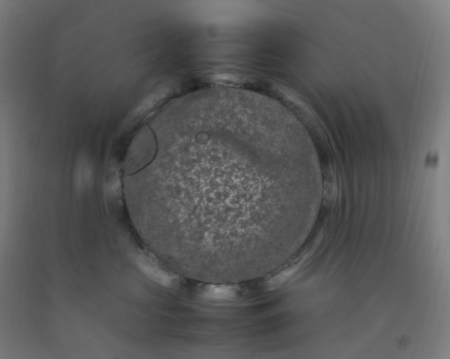 X0000092250573200709281146