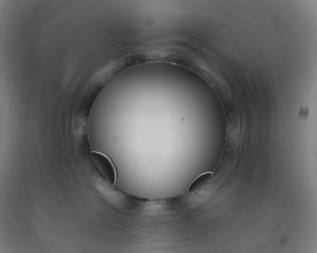 X0000092250574200709281146