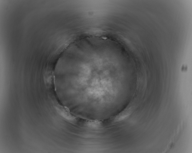 X0000092250576200709281146