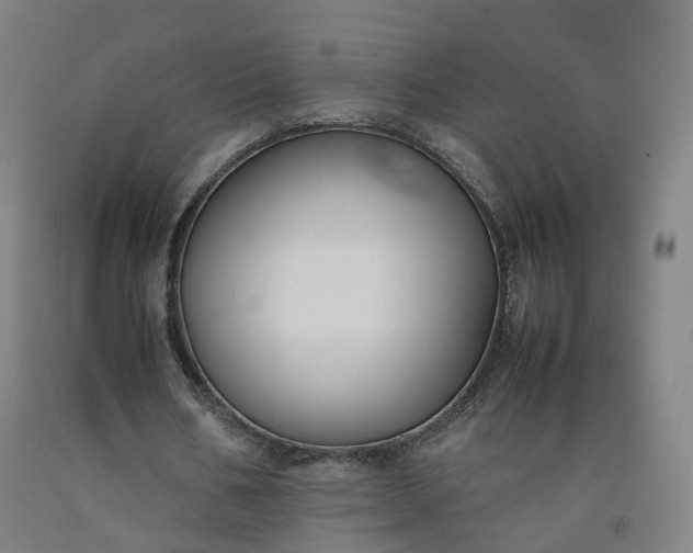 X0000092250578200709281145