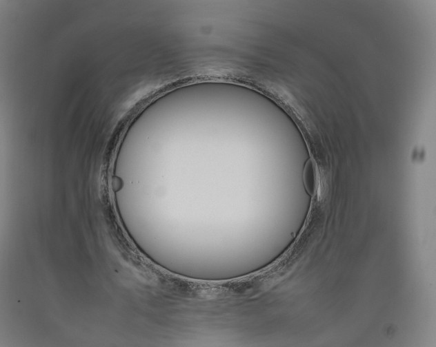 X0000092250579200709281145