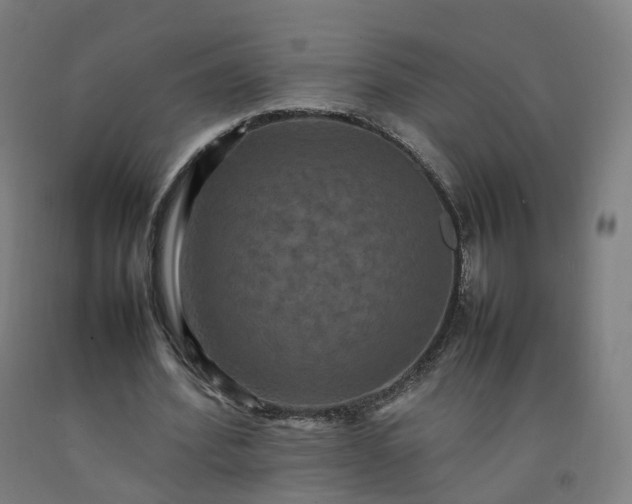 X0000092250580200709281145