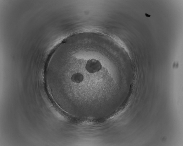 X0000092250581200709281145