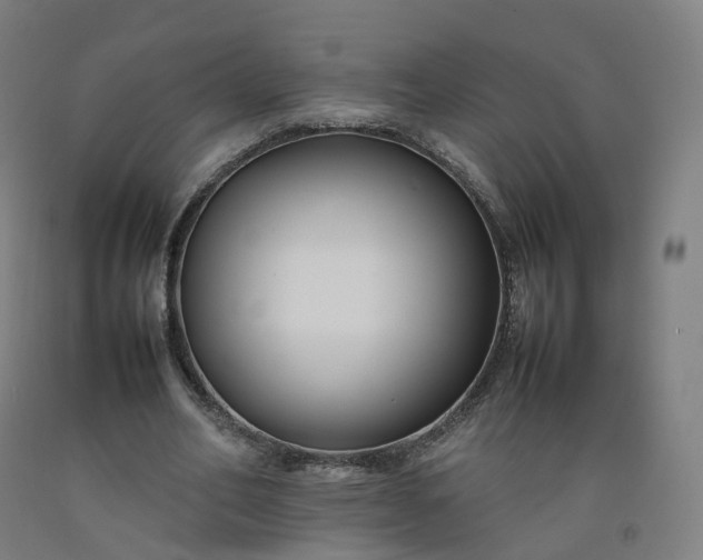 X0000092250582200709281145