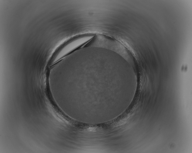 X0000092250584200709281145