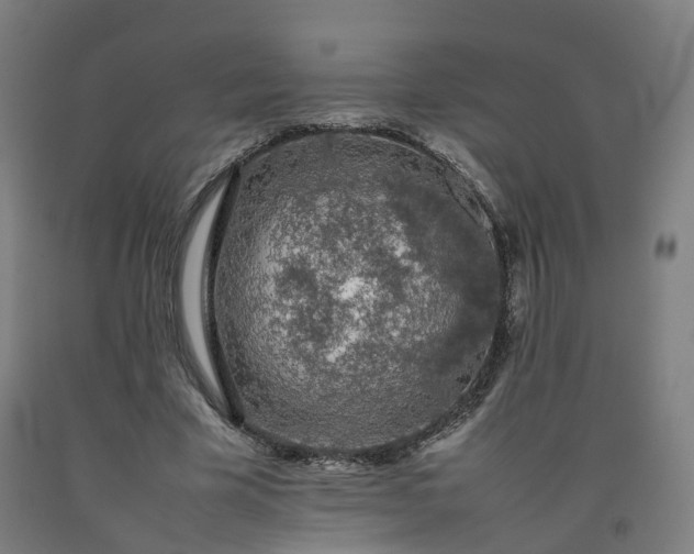 X0000092250585200709281145