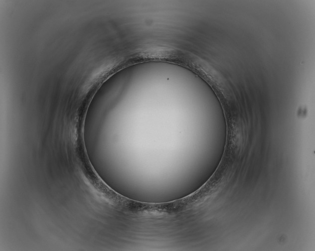 X0000092250586200709281145