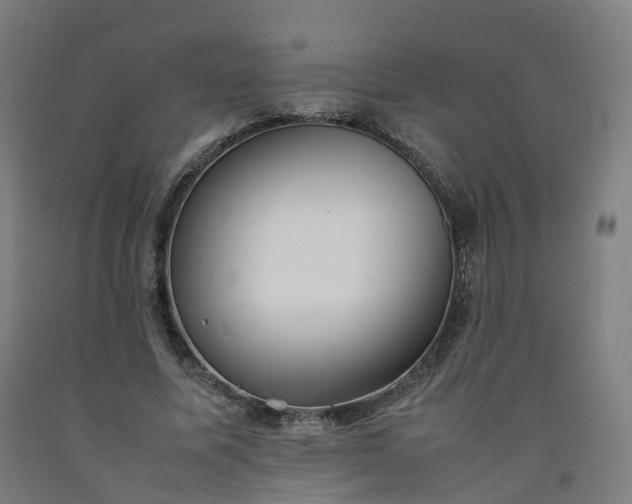 X0000092250587200709281145