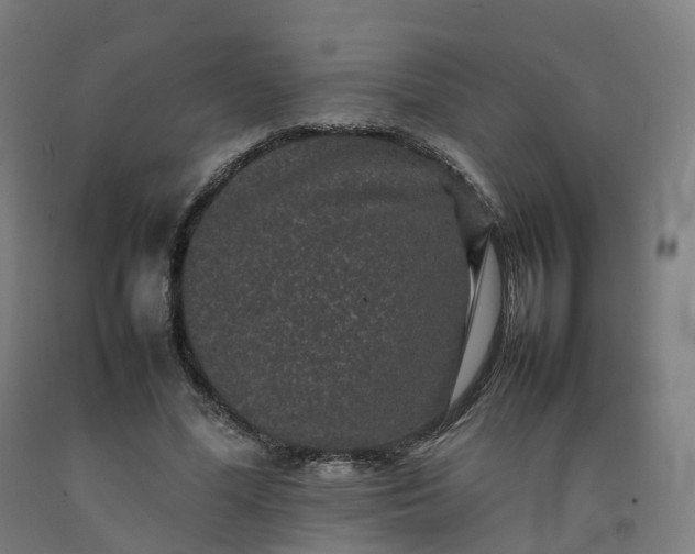 X0000092250588200709281145