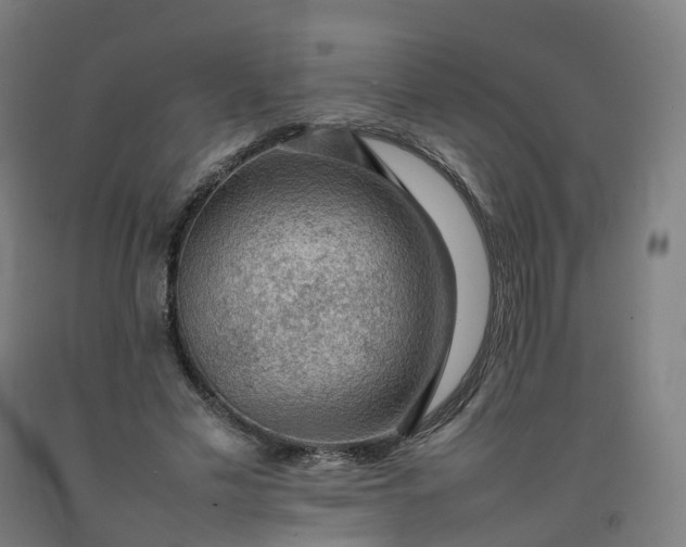 X0000092250589200709281145