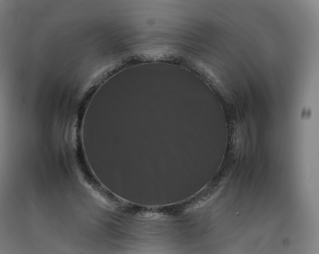 X0000092250590200709281145