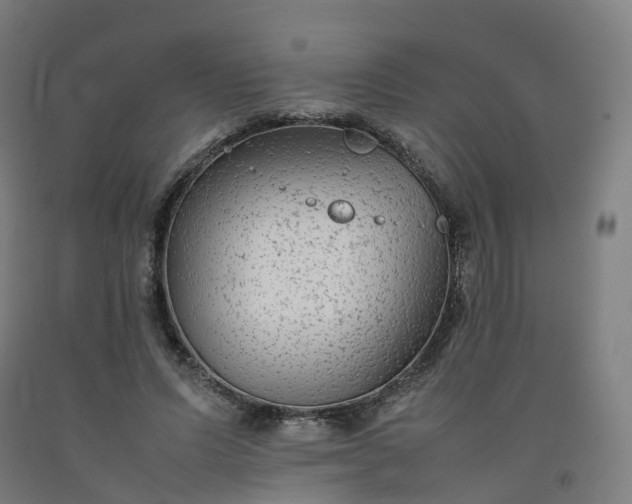 X0000092250591200709281145