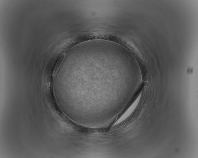 X0000092250593200709281145