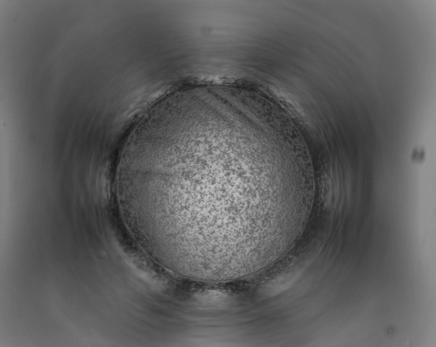 X0000092250594200709281145