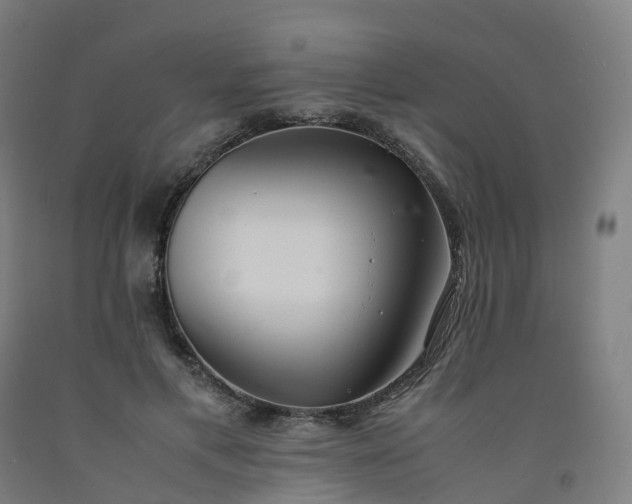 X0000092250597200709281145