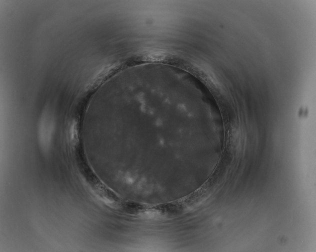 X0000092250598200709281145