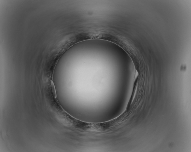 X0000092250601200709281145