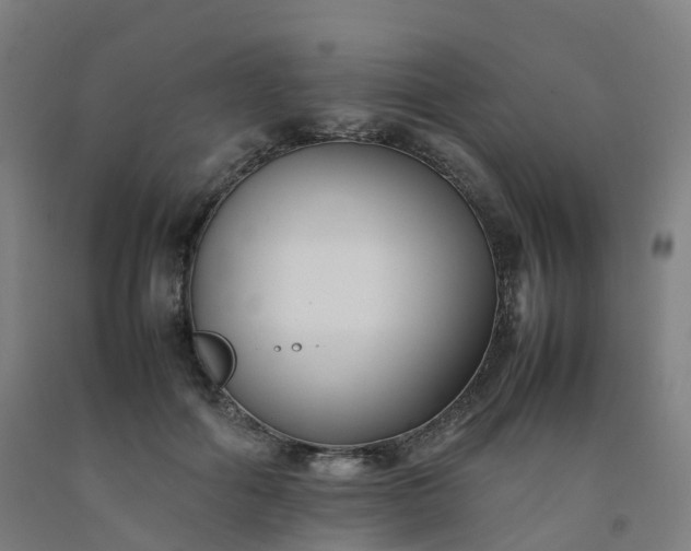 X0000092250602200709281145