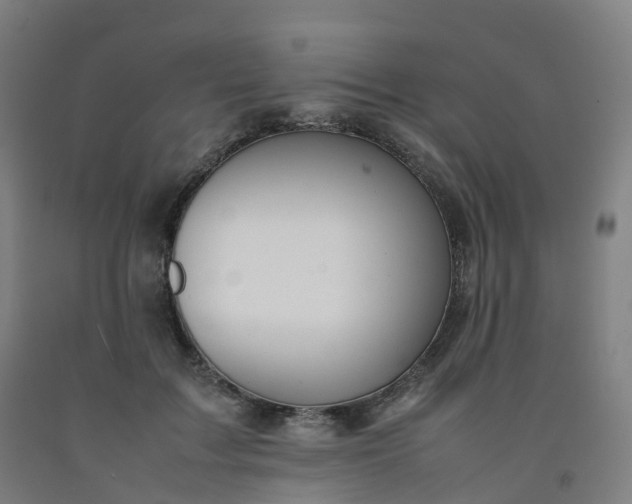 X0000092250603200709281145