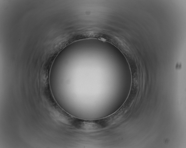 X0000092250605200709281145