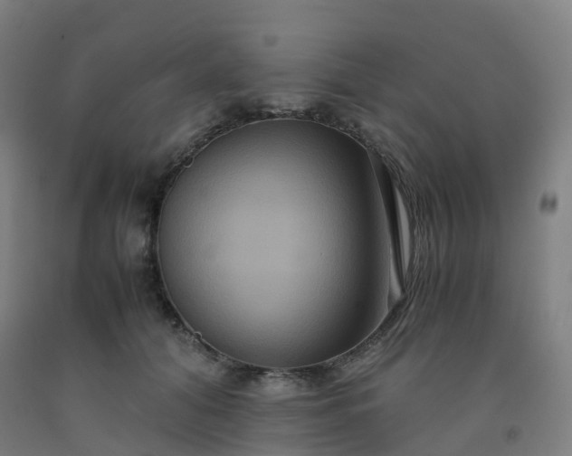 X0000092250608200709281145