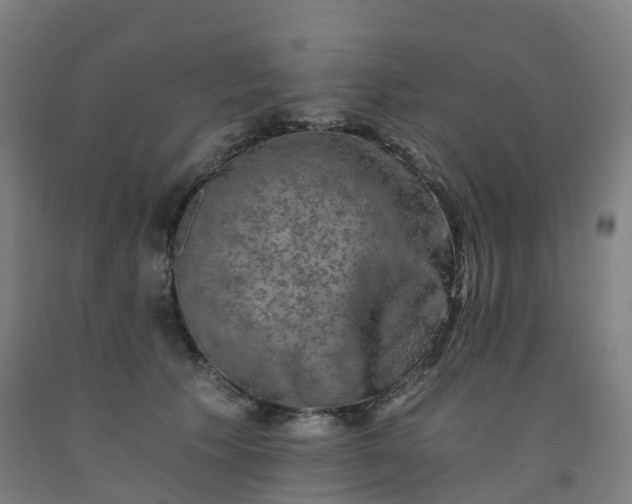 X0000092250609200709281145