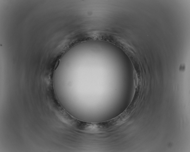 X0000092250611200709281145