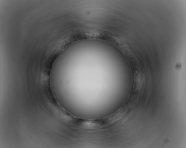 X0000092250614200709281145