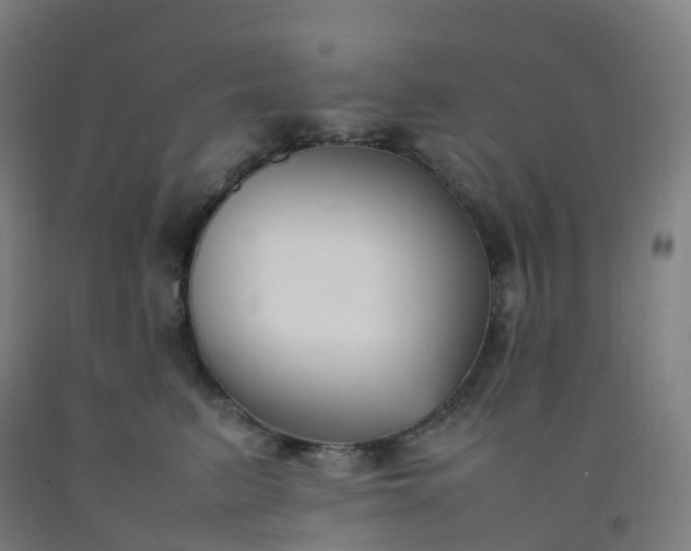 X0000092250615200709281145