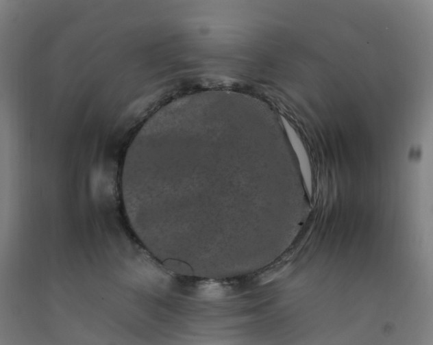 X0000092250616200709281145