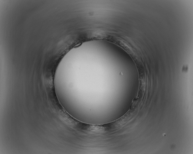 X0000092250617200709281145