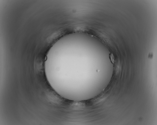 X0000092250619200709281145