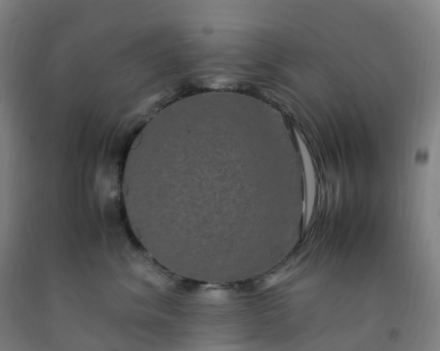 X0000092250620200709281145