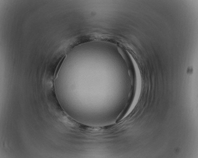 X0000092250621200709281145