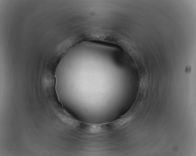 X0000092250623200709281145