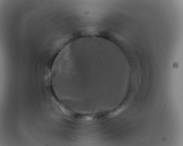 X0000092250624200709281145